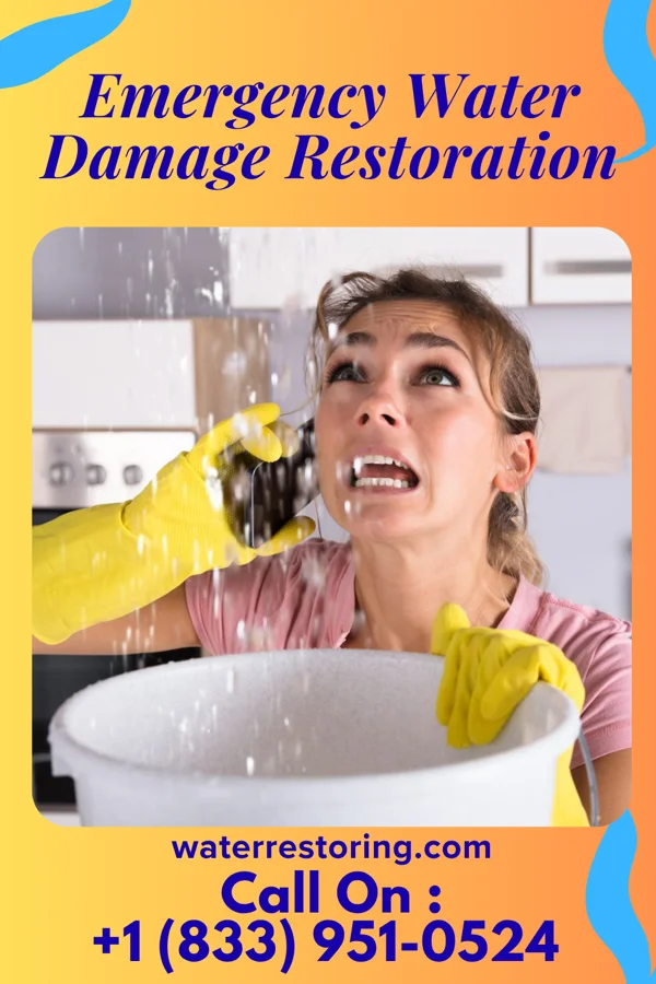 Emergency Water Damage Restoration in Woodside East, DE