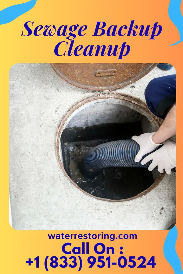 Sewage Backup Cleanup in Woodside East, DE