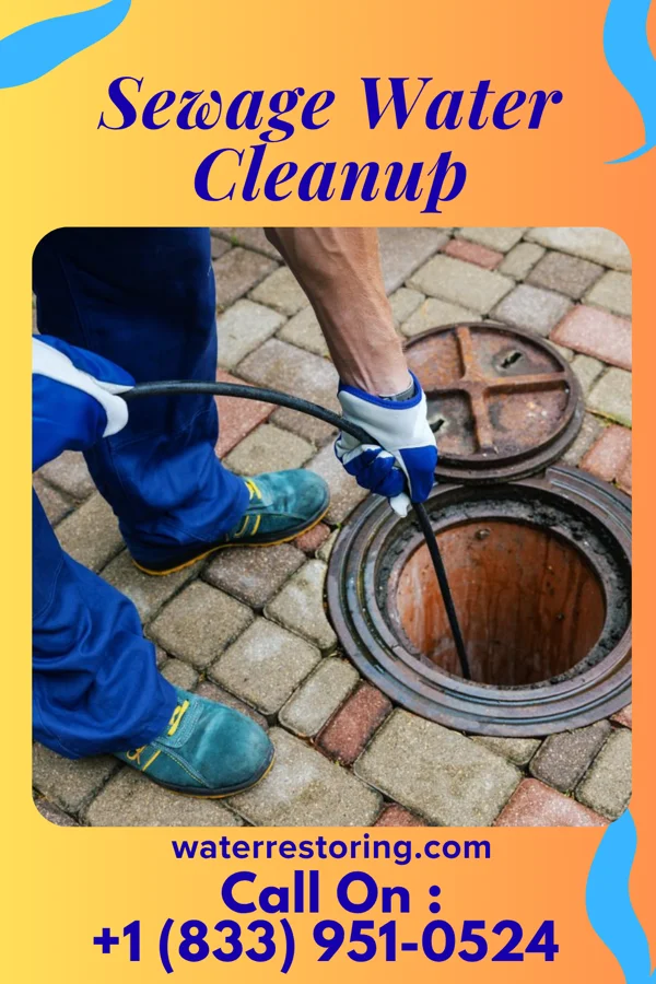 Sewage Water Cleanup in Woodside East, DE
